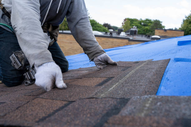 Best Roof Replacement Cost  in Negaunee, MI