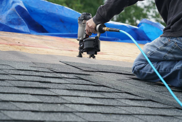 Best Residential Roof Replacement  in Negaunee, MI