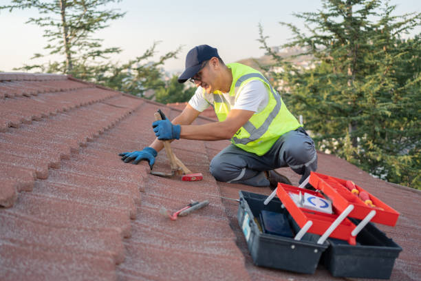 Best Local Roofing Companies  in Negaunee, MI